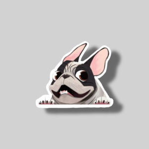 pug